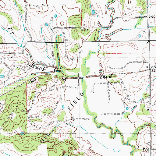 Topographic Map of Buck Creek, TX