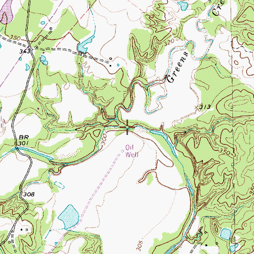 Topographic Map of Green Creek, TX