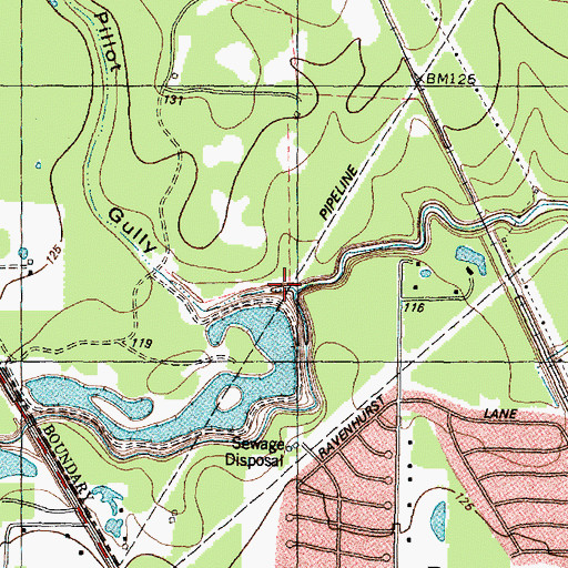 Topographic Map of Pillot Gully, TX