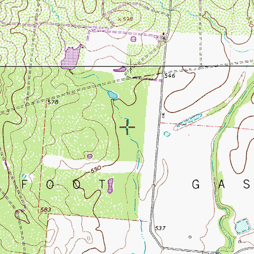 Topographic Map of West Big Foot Gas Field, TX