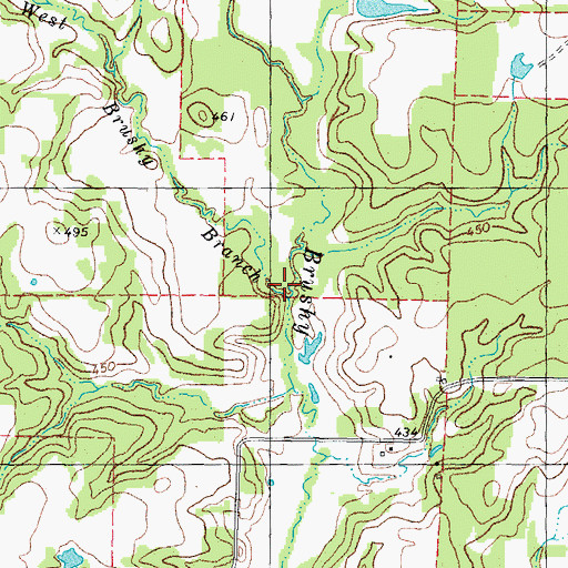 Topographic Map of West Brushy Branch, TX