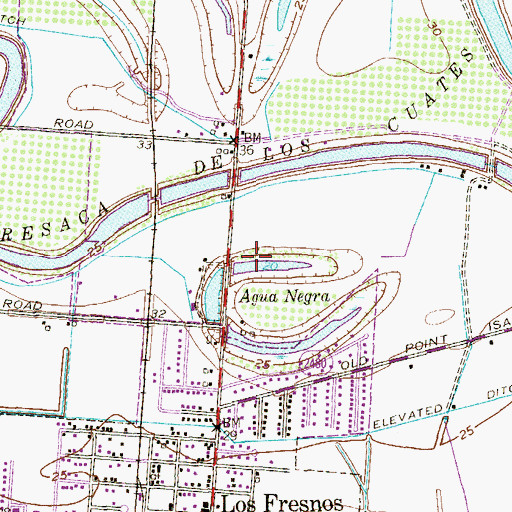 Topographic Map of Agua Negra, TX