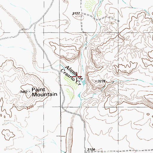 Topographic Map of Alamo de Cesario Creek, TX