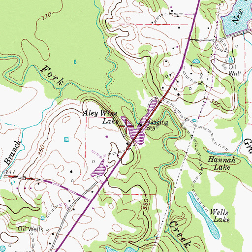 Topographic Map of Aley Wine Lake, TX