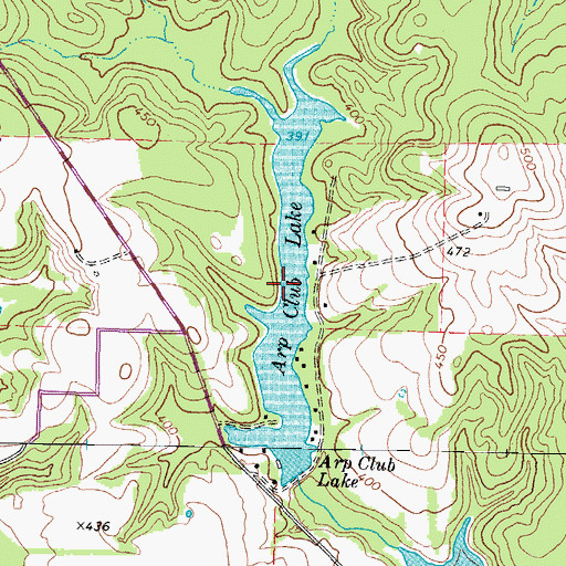 Topographic Map of Arp Club Lake, TX