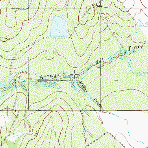 Topographic Map of Arroyo Penas, TX
