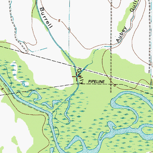 Topographic Map of Aubey Gully, TX