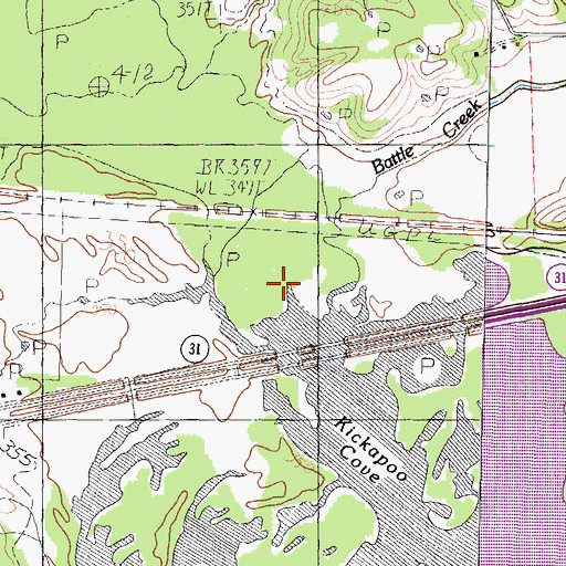 Topographic Map of Battle Creek, TX