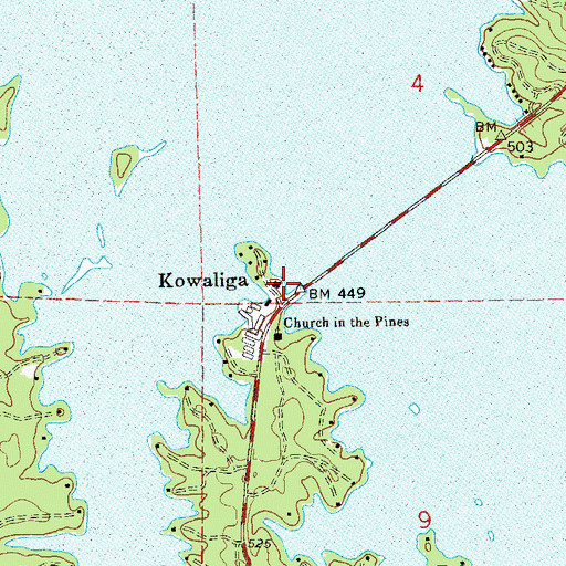 Topographic Map of Kowaliga Marina, AL