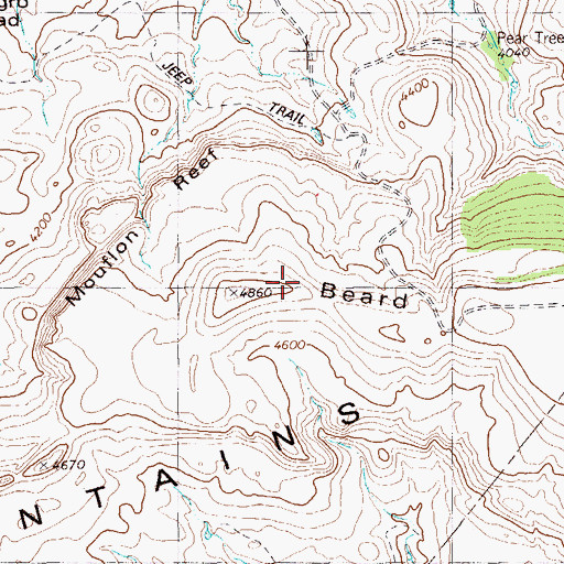 Topographic Map of Beard Mountain, TX