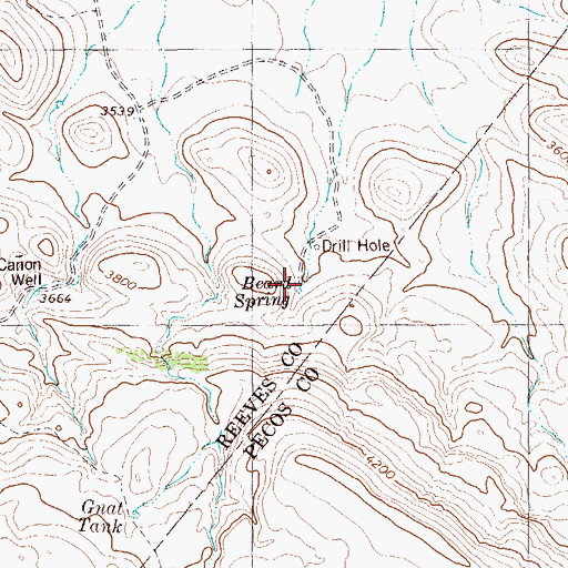 Topographic Map of Beard Spring, TX