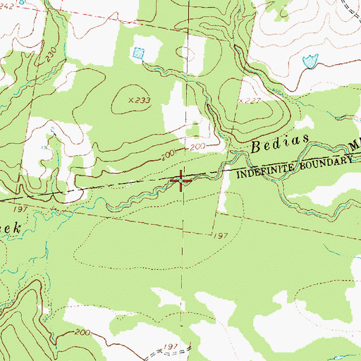 Topographic Map of Bedias Creek, TX