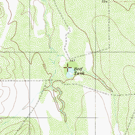 Topographic Map of Beef Tank, TX