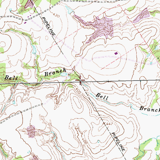 Topographic Map of Bell Branch, TX