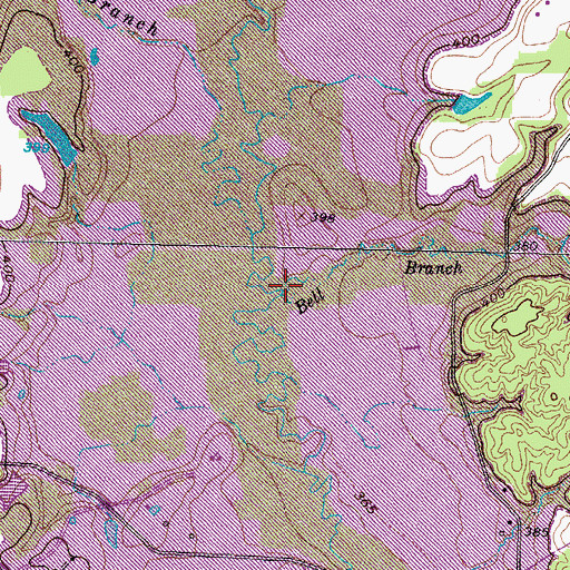 Topographic Map of Bell Branch, TX