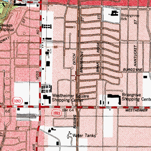 Topographic Map of Bering Ditch, TX