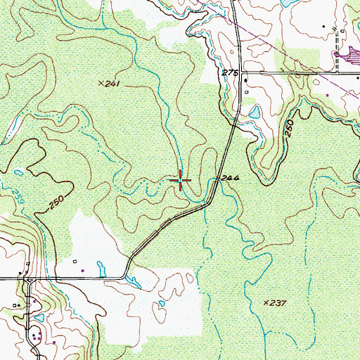 Topographic Map of Big Branch, TX