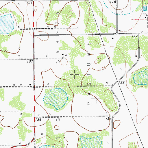 Topographic Map of Big Cabeza Pasture, TX