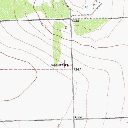 Topographic Map of Bippus Church, TX