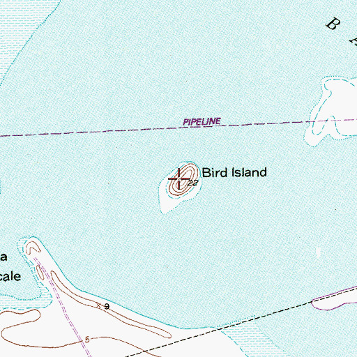 Topographic Map of Bird Island, TX