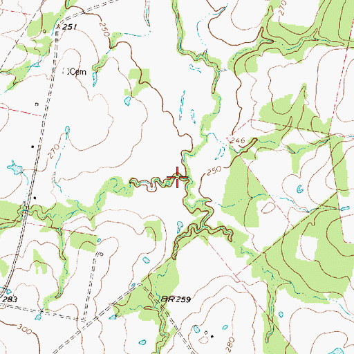 Topographic Map of Bishop Creek, TX