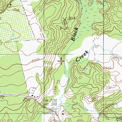 Topographic Map of Black Branch, TX