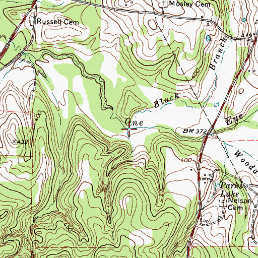 Topographic Map of Black Branch, TX