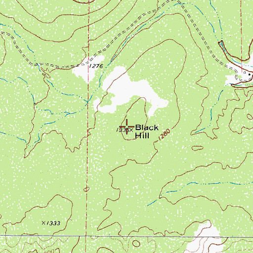 Topographic Map of Black Hill, TX