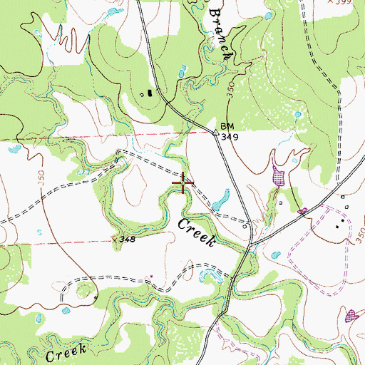 Topographic Map of Bo Branch, TX