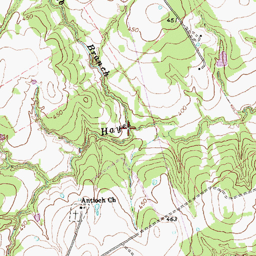 Topographic Map of Bob Branch, TX