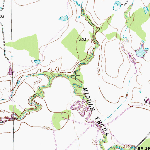Topographic Map of Boggy Branch, TX