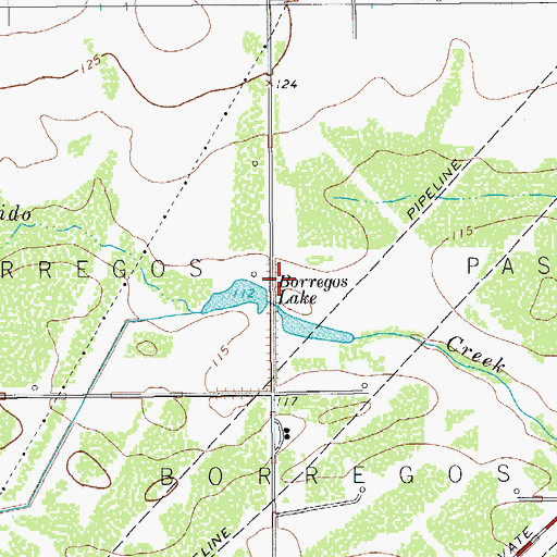 Topographic Map of Borregos Lake, TX