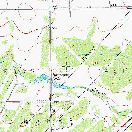 Topographic Map of Borregos Pasture, TX