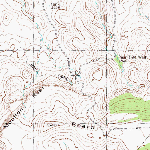 Topographic Map of Borregus Tank, TX