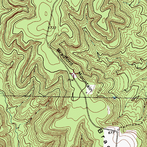 Topographic Map of Bradford Mountain, TX