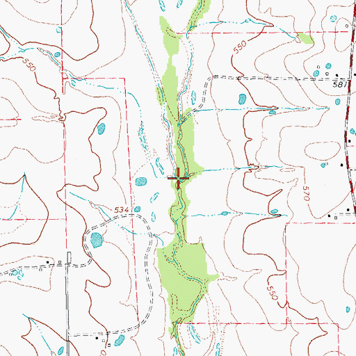 Topographic Map of Brushy Branch, TX