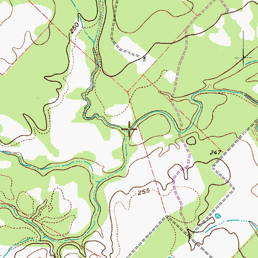 Topographic Map of Brushy Creek, TX