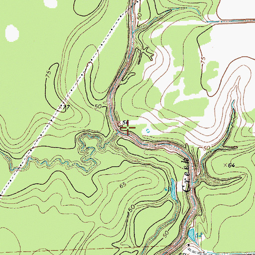 Topographic Map of Brushy Creek, TX