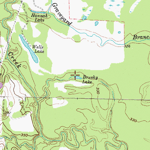 Topographic Map of Brushy Lake, TX