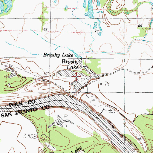 Topographic Map of Brushy Lake, TX