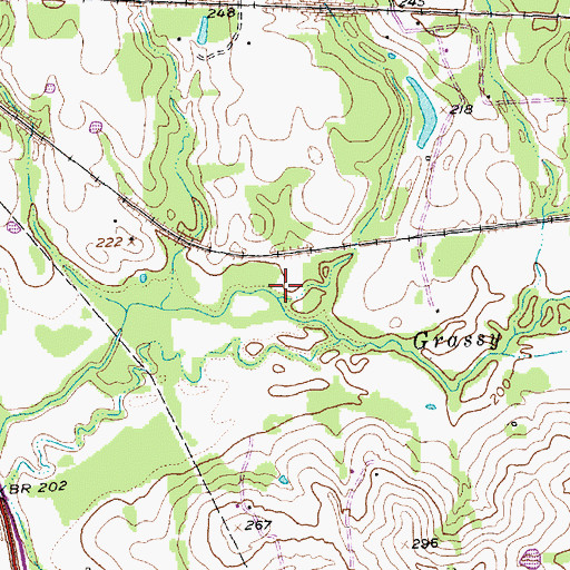 Topographic Map of Bryant Branch, TX