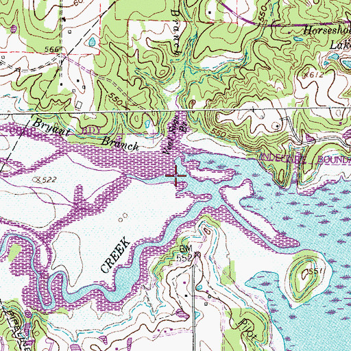 Topographic Map of Bryant Branch, TX