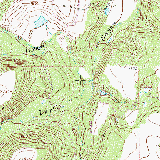 Topographic Map of Buck Hollow, TX