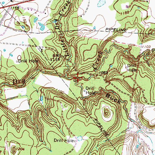 Topographic Map of Buck Hollow, TX
