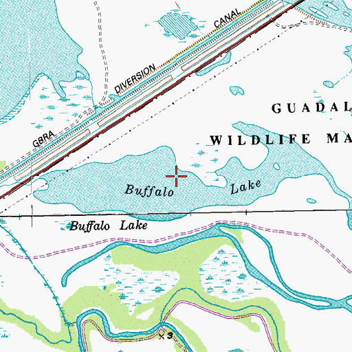 Topographic Map of Buffalo Lake, TX