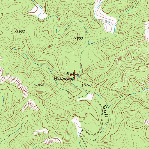 Topographic Map of Bull Waterhole, TX