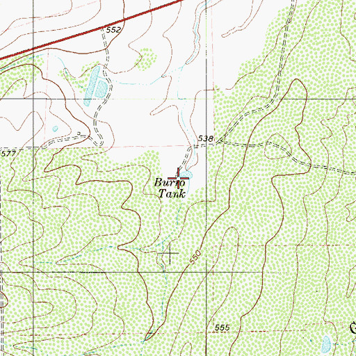 Topographic Map of Burro Tank, TX