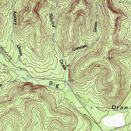 Topographic Map of Canales Draw, TX