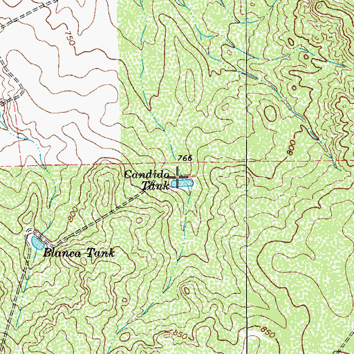 Topographic Map of Candido Tank, TX