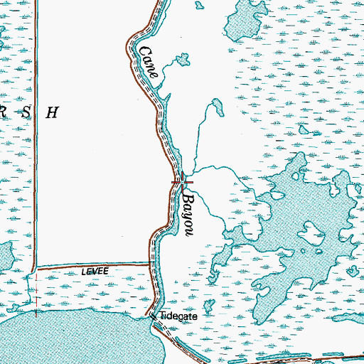 Topographic Map of Cane Bayou, TX